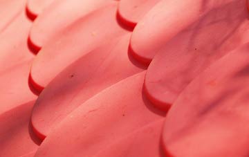 Turvey plastic roof costs