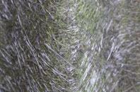 Turvey fibreglass roof work