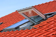 Turvey roof window